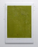 Charl van Ark, ' Ludwigseiche ', 2013, olieverf op linnen, 85 x 60 cm.
PHŒBUS•Rotterdam